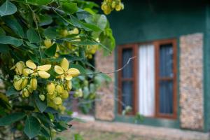 River Forest Camp - Ubytování bez kategorie ve městě Udawalawe