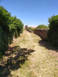 Alojamiento Rural La Arboleda