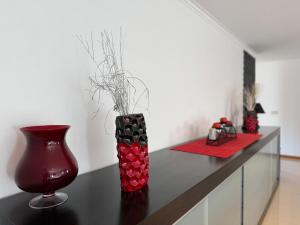 Casa Fouces - Piscina - Gerês