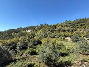 Casa Fouces - Piscina - Gerês
