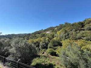 Casa Fouces - Piscina - Gerês
