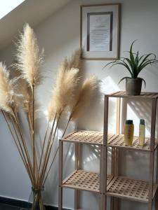 Berkenye Vendégház Tisza-tó