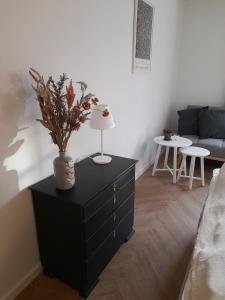 Mini-lejlighed med køkken - delt bad og toilet med nabolejlighed