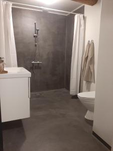 Mini-lejlighed med køkken - delt bad og toilet med nabolejlighed