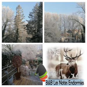 Maison dhôtes Les Notes Endormies