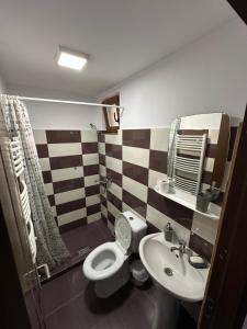 Casa Tradițională Cârtisoara