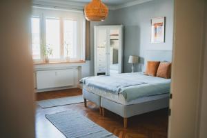 Usti Downtown Horovka Apartment