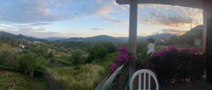 The Assento Elegance and Nature