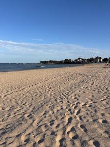 Ti Olli - Le Reflet Bleu - Le Pouliguen