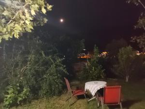 Apartments Željka-Dobrota