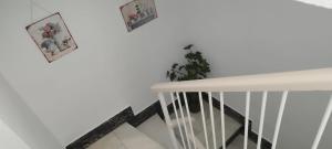 Apartamento Plumaria