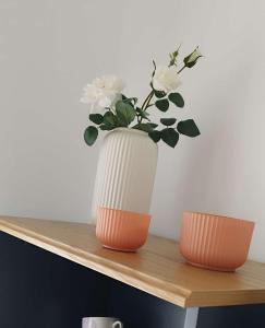 Apartamento Plumaria