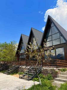 Villa Kazbegi & Cottages