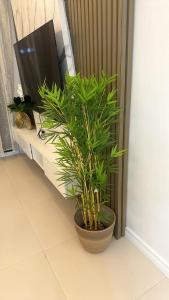 Unit 1111 Cozy New Penthouse with free WIFI, swimming pool, gym, fully air condition