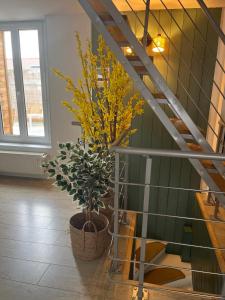 Appartement plein de charme