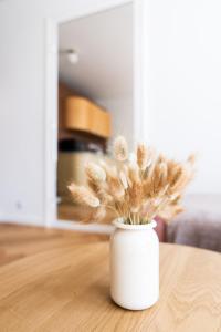 Arch & Edge - Design Project Karlovy Vary