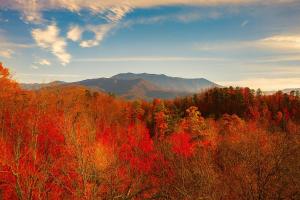 Amazing Views Private Theater Hot Tub