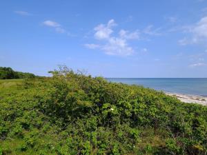 4 person holiday home in Gedser