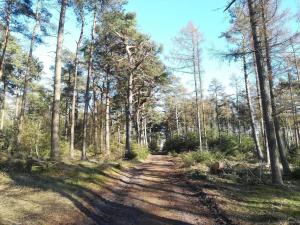 4 person holiday home in Gedser