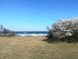 4 person holiday home in Gedser