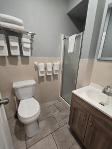 Cozy Sweet Spacious 7B 10 min to DT Ottawa