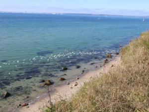 Tranquil Haven in Knebel - By Traum Ferienwohnungen