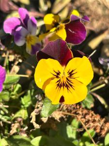 Patagonia Nocturna - Diseño, Vistas y Fast Wifi