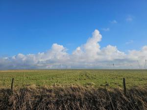 6 person holiday home in Højer