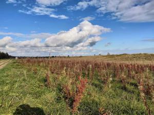 10 person holiday home in Væggerløse-By Traum