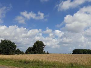 Modern Cottage near Beach - By Traum Ferienwohnungen