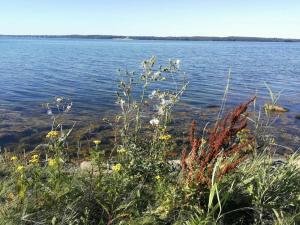 5 person holiday home in Bogø By-By Traum