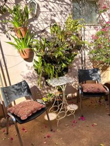 Body & Mind Beautiful - Suites Elegantes e Charmosas