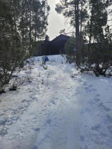 Huge 7 bedroom cabin in Torreon