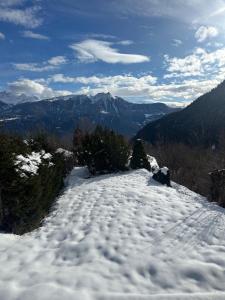 Chalet Panorama Ovronnaz 180 View 2BA 10 pax