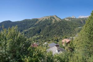 Chalet Panorama Ovronnaz 180 View 2BA 10 pax