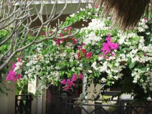 Orchid Boutique Beach Resort