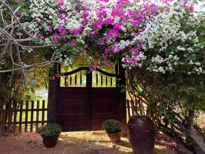 Orchid Boutique Beach Resort