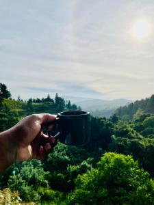 OYA LANGA HENA - Green Park