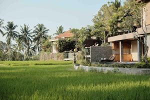 sunrise villa in the middle of rice field