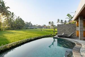 sunrise villa in the middle of rice field