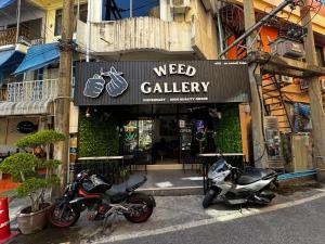 W33d Gallery Pattaya