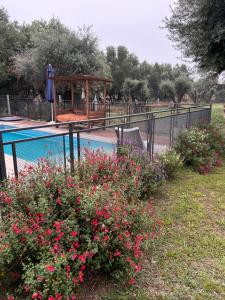 "Rincón de Olivos" Alojamiento entero en complejo con piscina