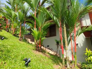 Charming Small House, Near the beach & Waterfalls