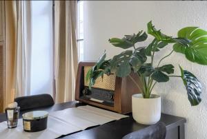 Nowy Świat 43 by Solarento