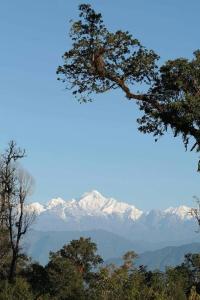 Durga Homestay Property of Royal Respite