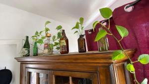 Guest Studio near Businesses and Markets