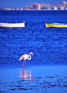 Relaxing experience in apt club nautico isleta