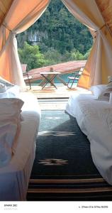 Mimosa Backpackers Hostel