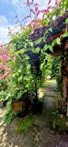 The Hidden Gem of Jembrana Bali