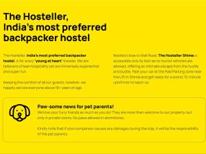 The Hosteller Shimla